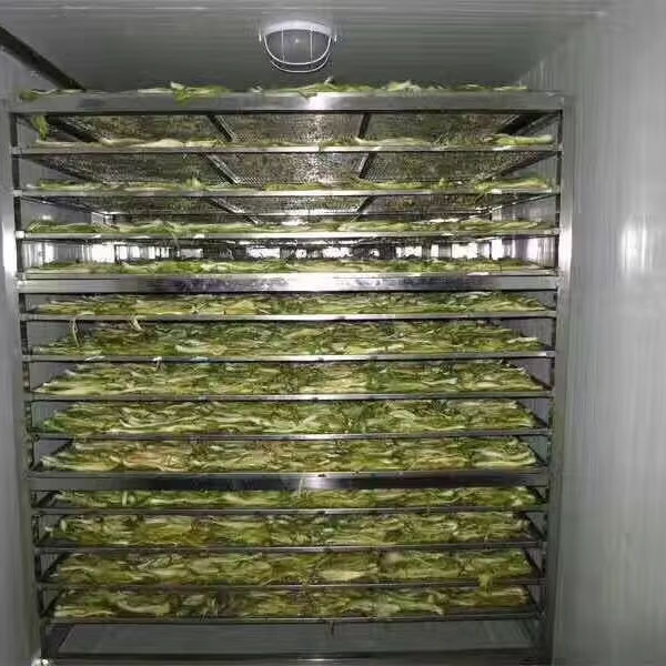 果蔬烘箱干燥烘箱窑食品干燥箱