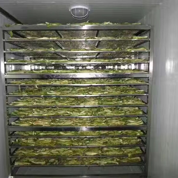 果蔬烘箱干燥烘箱窑食品干燥箱