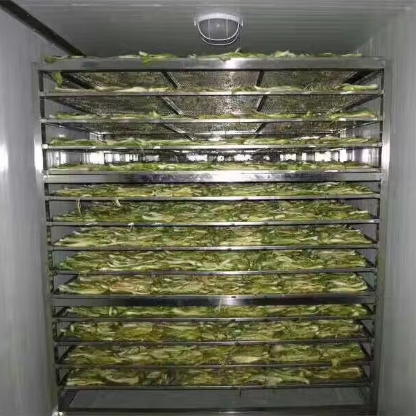 热泵桃子草莓梨子李子烘干机脱水机