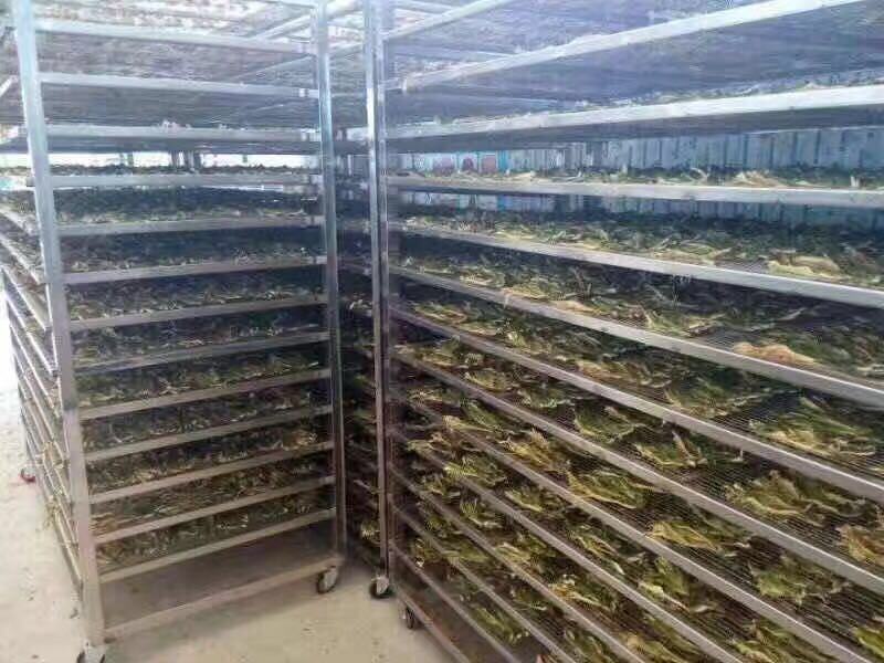 品质保证蔬菜水果干燥机/脱水机/工业食品脱水机