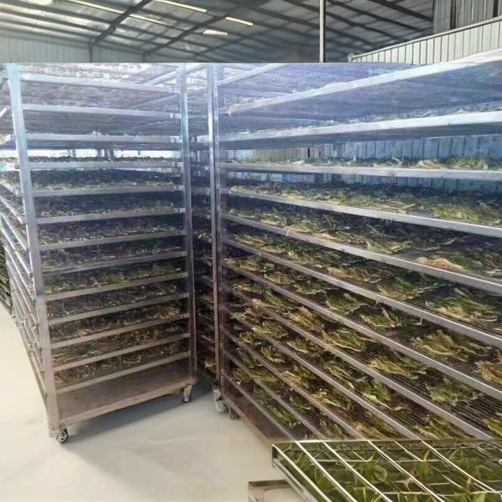 专业厂家供应果蔬干燥机 干燥水果机 水果脱水机 干燥机