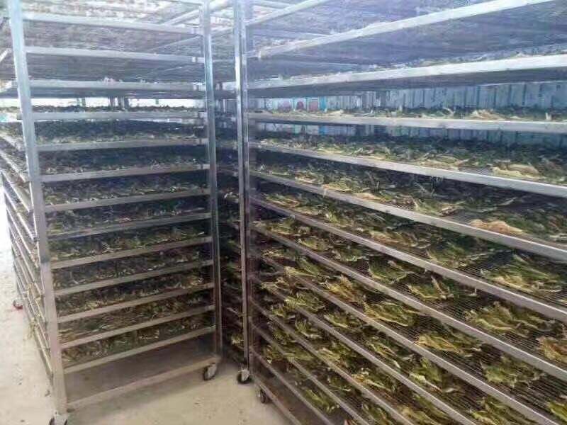 出厂价耐用披萨烤箱销售对流烤箱热空气烤箱工业干燥炉