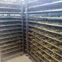 热销水果烘干机水果蔬菜脱水机水果脱水机不锈钢食品脱水机