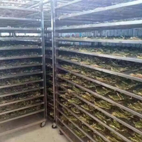 叶式除湿机式一体式烘干机食品脱水机葡萄鱼蔬菜电动水果烘干机