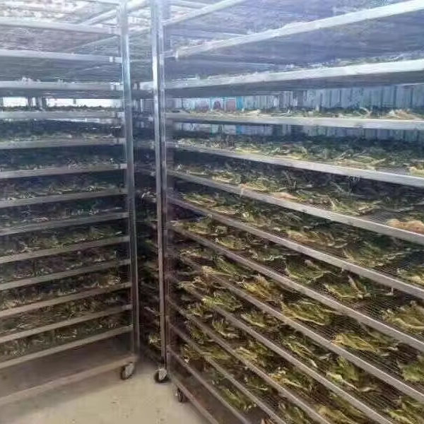 叶式除湿机式一体式烘干机食品脱水机葡萄鱼蔬菜电动水果烘干机