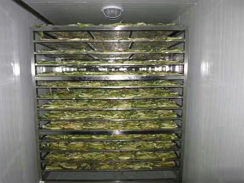 热销小型食品脱水机水果蔬菜多功能烘干机