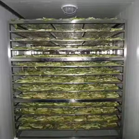 专业厂家供应果蔬干燥机 干燥水果机 水果脱水机 干燥机